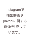 Instagramで
抽出動画や
pavoniに関する
画像をUPして
います。